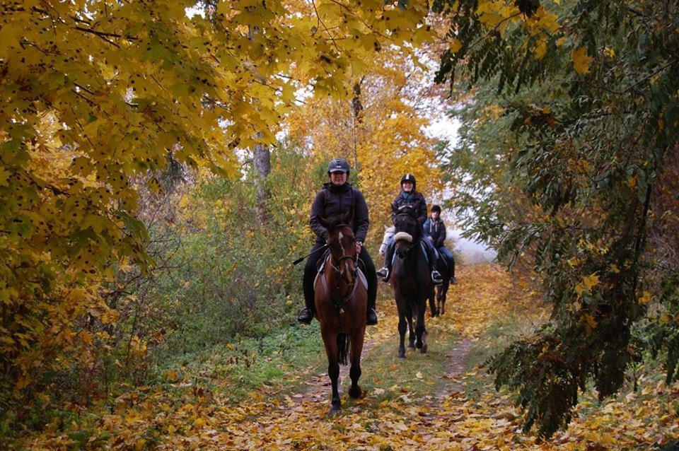 Ranch Pod Lesom Slovensky Raj Spissky Stiavnik Екстер'єр фото